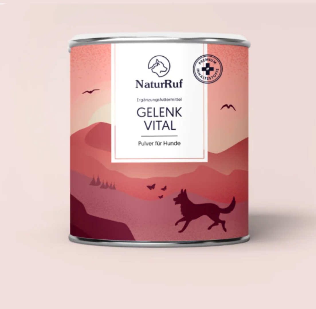 Gelenk Vital